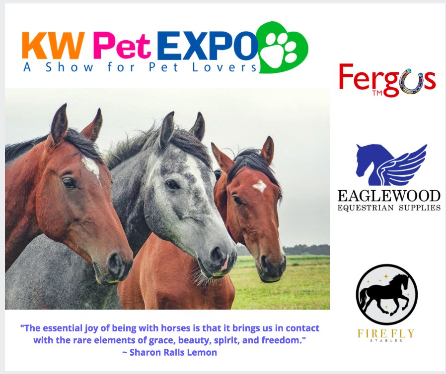 We ♥️ our Equestrian Exhibitors! 🐴

Come See: @fergusthehorse @eaglewoodequestrian @Fireflystables 

#Equestrians #KwPetExpo #Exhibitors #thingstodoinKW