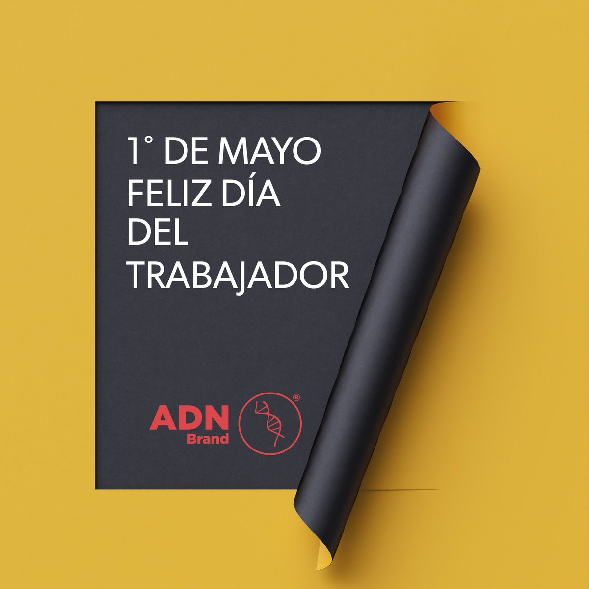 Feliz Día del Trabajador
#DiaDelTrabajador #ADN #Descanzo