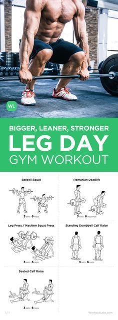 FitnessTips1011's tweet photo. Leg day, coming at you early, whether you are at a home gym, Gold’s Gym, or just your workplace, we got you covered #FitnessTips101 https://t.co/HAuQbO4QKH