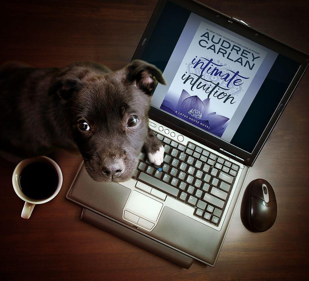 ceejslifereads's tweet photo. Even this puppy wants to remind you that there are only #6Days until #IntimateIntuition by the incomparable @AudreyCarlan releases!! Preorder now!!

Kindle US: https://t.co/zDQmd0FKRi
iBooks: https://t.co/t2c3W6qyF1
Kobo: https://t.co/GE9vDDgx7T
Playbooks: https://t.co/wUMZUIKXt6 https://t.co/Y31XeWZJQX