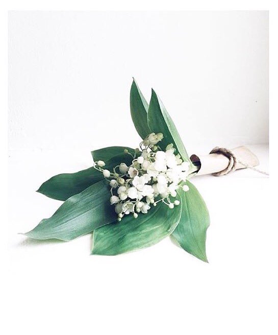 BerthilleA's tweet photo. Joli mois de mai 🌱 #1erMai #bellejournée #muguet #bonheur https://t.co/75wpNS3b5Y