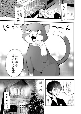 3日に東6の名前欄の横のスペースで参加します!!
モルガナ本もあるよ!通販たぶん明日くらいから?始まると思います

モルガナと! https://t.co/N1TDF49MFH #同人誌 @tora_ec_male_aさんから 
