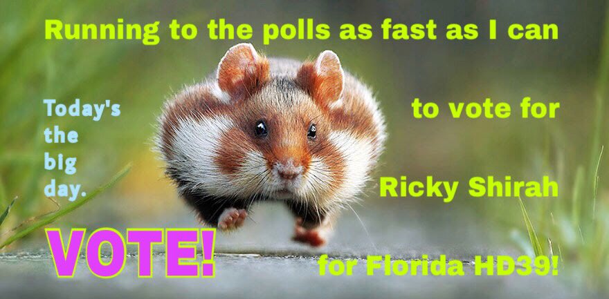 LilyPotter130's tweet photo. Today’s the big day to #FlipItBlue in #Florida #HD39.
Vote for Ricky Shirah. He’s the one who is best qualified to represent the fine folks in District 39.
#FlipFL39 #BlueWave #BlueTsunami https://t.co/zAm2nd6IId