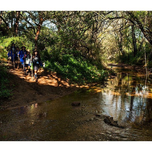 nunoperestrelo's tweet photo. ⚜PLAYGROUND FOR LIFE
.
.
I’ve became a scout when I was 10 years old, and I’ve been one over the following 15 years of my life. As a mirror of that personal experience, the Portuguese scouts are the main subject of these photographs showing young ter… https://t.co/bxA7xqj71L https://t.co/a5i3QiEQog