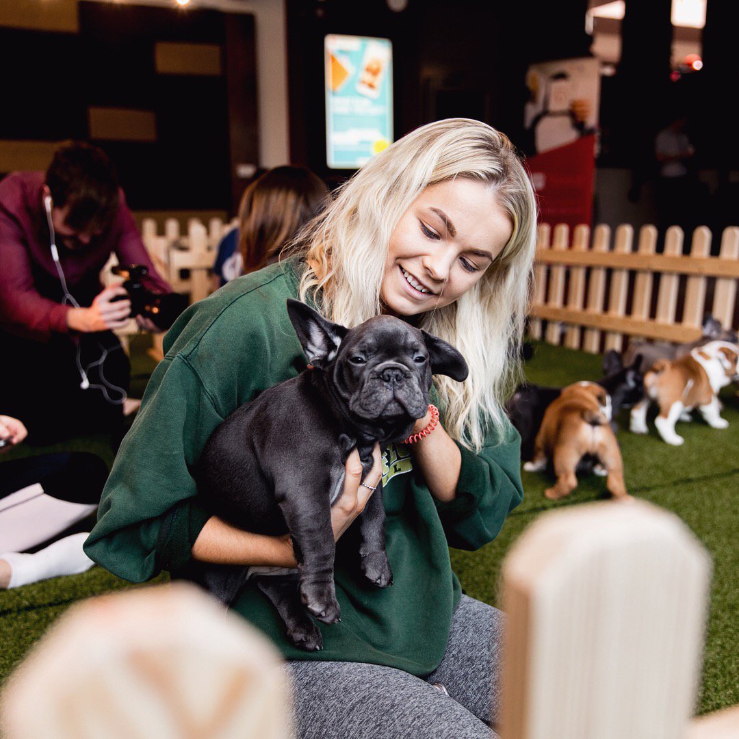TheStayClub's tweet photo. On May 3rd @UniversityCribs will be hosting a Puppy Petting Day at #TheStayClubColindale in aid of mental health charity @MindCharity and to help students reduce the stress during the exam period #StayMindful https://t.co/sijteaarVC