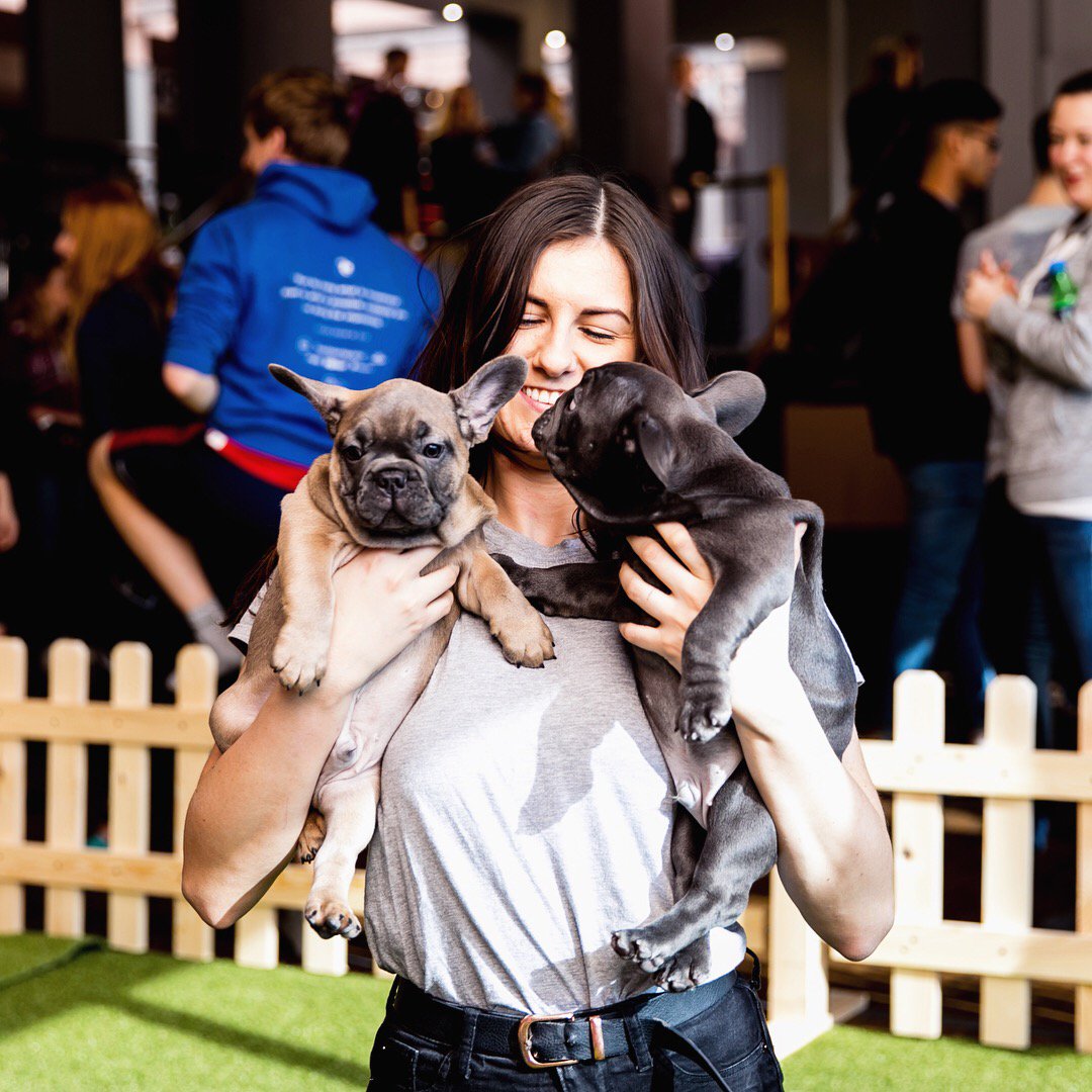 TheStayClub's tweet photo. On May 3rd @UniversityCribs will be hosting a Puppy Petting Day at #TheStayClubColindale in aid of mental health charity @MindCharity and to help students reduce the stress during the exam period #StayMindful https://t.co/sijteaarVC