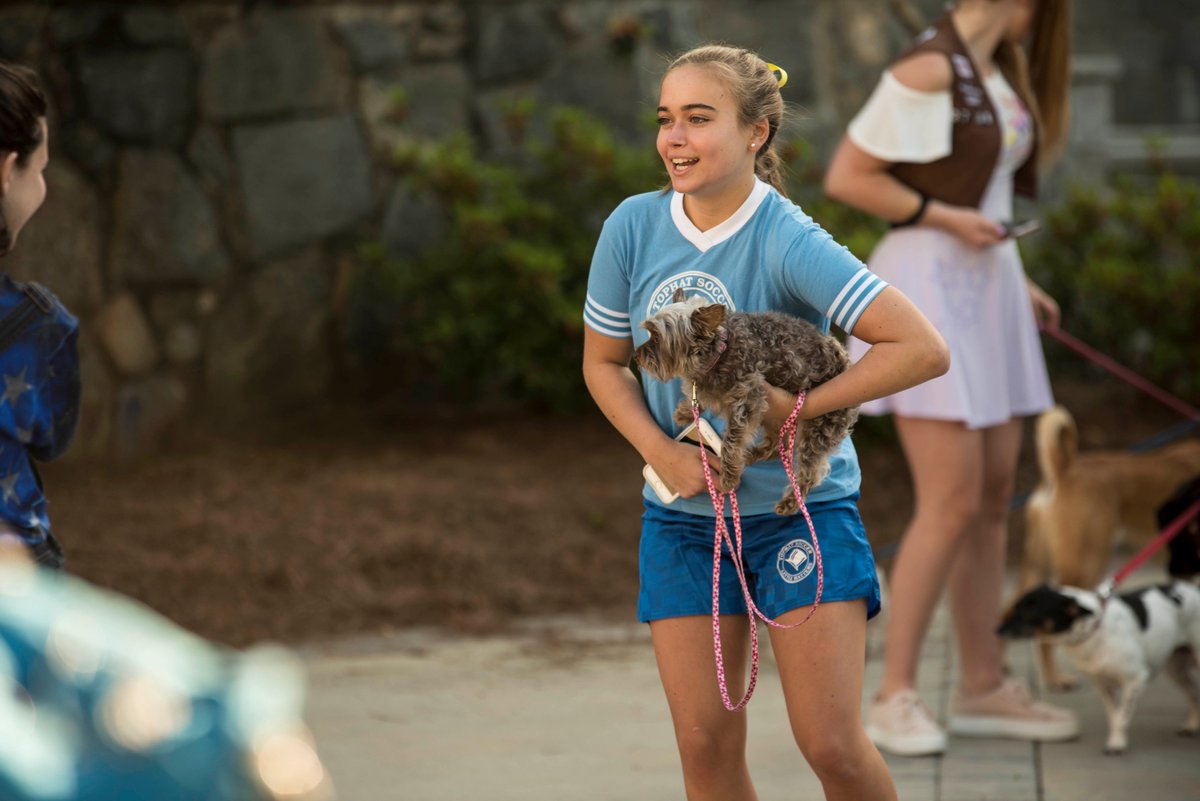paceacademy's tweet photo. It's Senior Pet Day! πΆ #paceseniors #classof2018 #paceacademy #pets https://t.co/EMfspINXjy