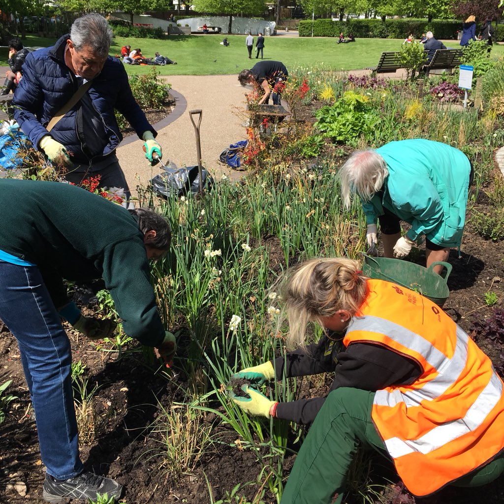 Creative Gardening club <a href="/CoinStreet/">Coin Street</a> are out in the sunshine today weeding the newly planted beds! #nationalgardeningweek 🌞🌿