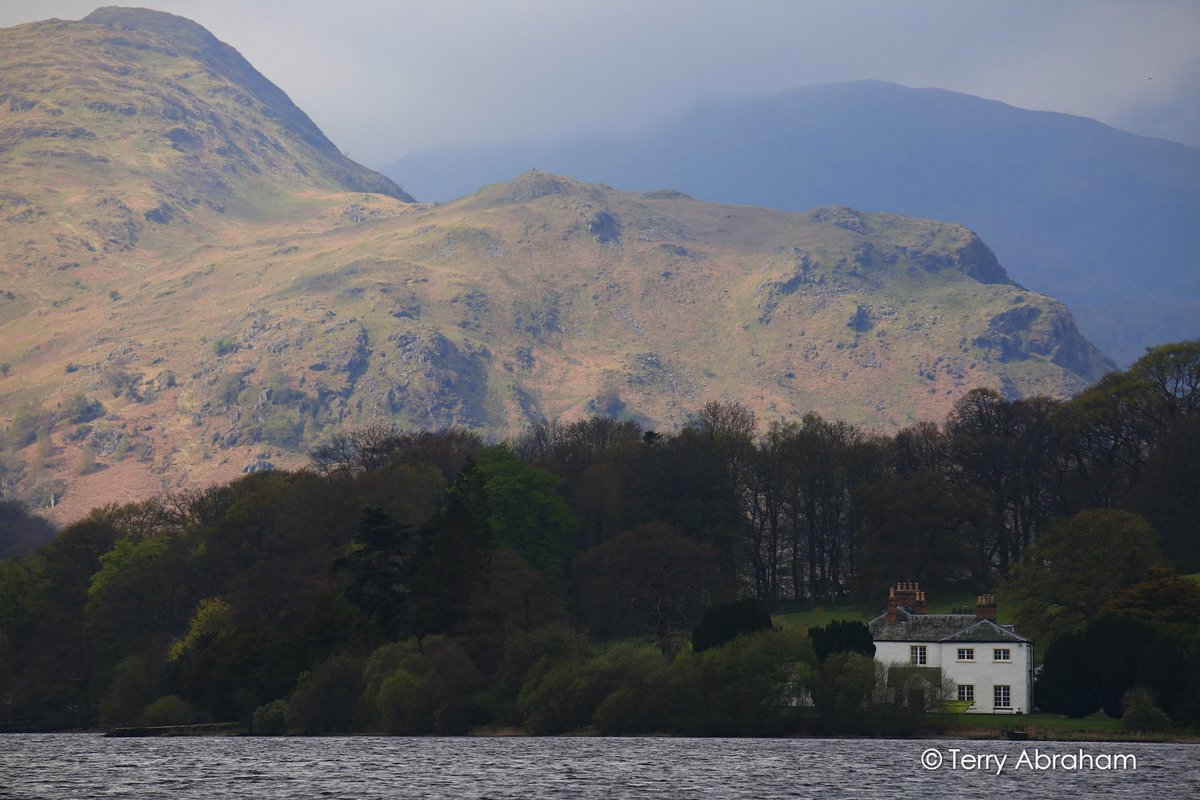 Terry Abraham tweet media