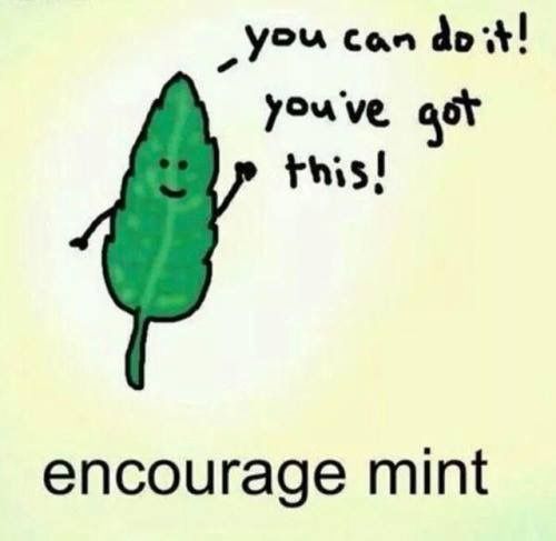 nicoleosinga_rd's tweet photo. Happy Monday! New week, new health goals! #goals #motivation #eatwellfeelgood #newweek #startfresh #itsalwaysagoodtime #startnow #worktowardsyourgoals #youcandoit #rdchat #dietitian #nutritionist #healthylifestyle #healthymeals #mealprep #exercise https://t.co/rdCqovaXyn