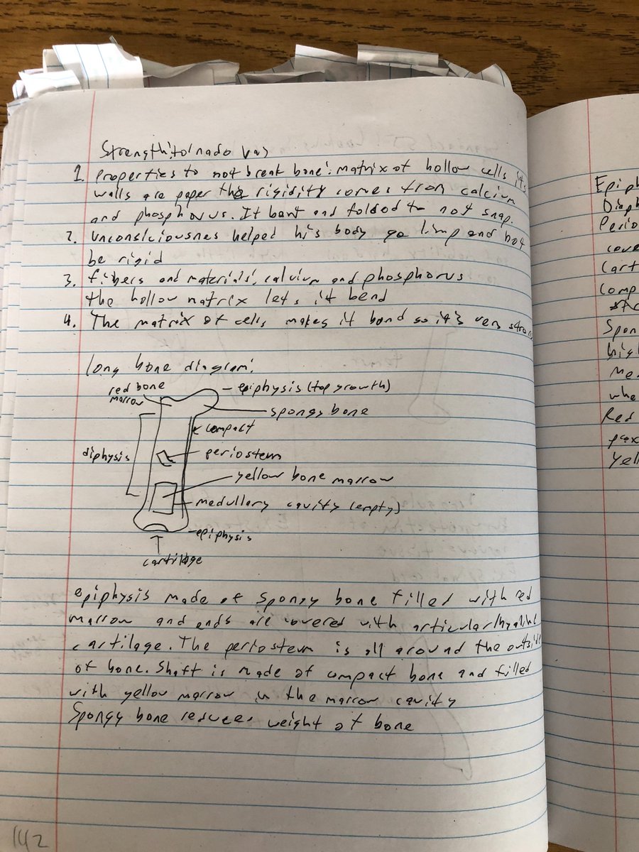 Vincent_Bio's tweet photo. #RBHSBMS Bone notes https://t.co/52FUQeUySU