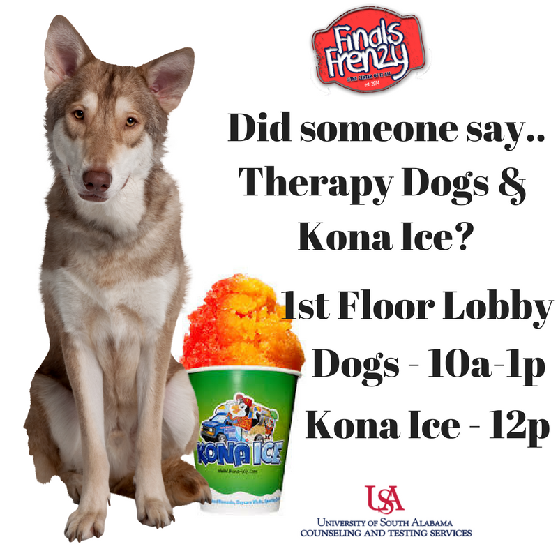 Don’t miss out on these #finalsfrenzy events! Therapy Dogs will be from 10a-1p and Kona I’ve will start at noon.
