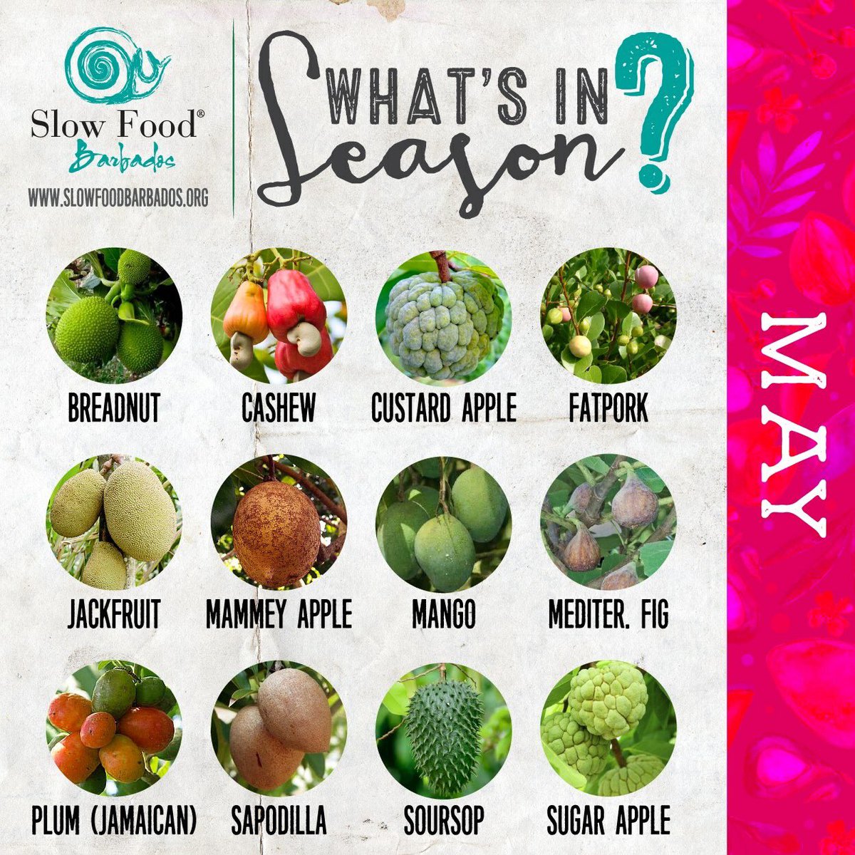 slowfoodbb's tweet photo. Happy May Day! The month of May brings some delicious local fruit here in #Barbados.
Check out our local Buyers Guide and share photos of your fruit with us using #slowfoodbb!
https://t.co/rcuecU6DkE
#supportlocal https://t.co/uy2ecKg0bP