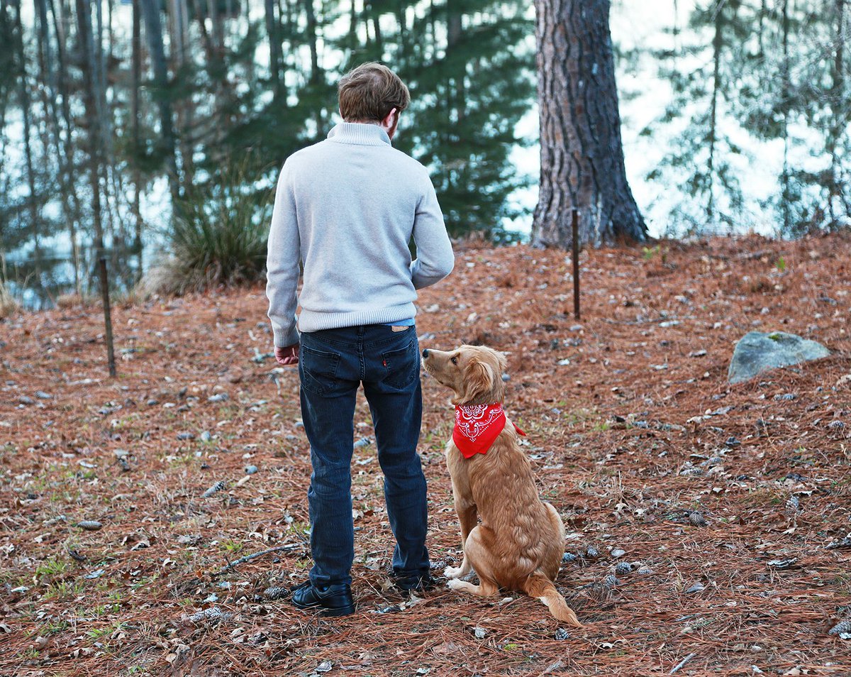 MiloWesley's tweet photo. People without dogs are sad people. They may not even be aware of how sad they are. Sympathy today for all the dogless individuals <3 https://t.co/oWdQ8XmTyA