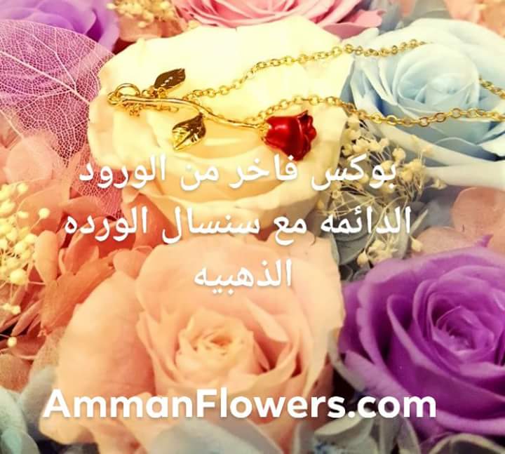 ammanflowers's tweet photo. ارسل أجمل باقات الورود 🌷 إلى الأحباء في عمان... توصيل مجاني... اطلب مباشره عبر موقعنا https://t.co/SuDNV4sg6j واتساب 00962796462495 https://t.co/vbW5nEYOBM https://t.co/asi8UiexD6