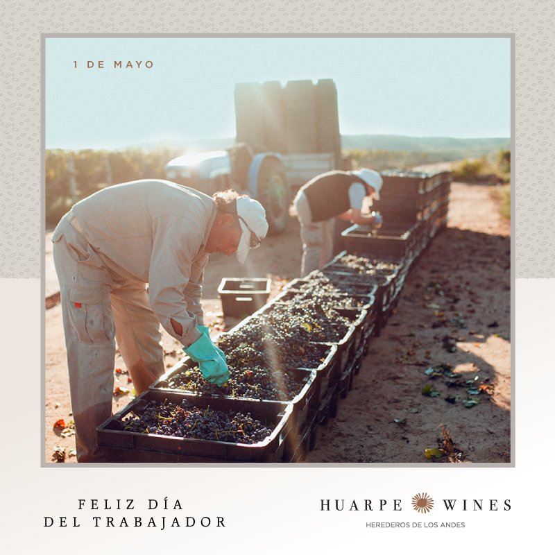 Nuestro trabajo es nuestra pasión. Y las pasiones compartidas se viven más intensamente.
¡Feliz día del trabajador de todos los que hacemos #HuarpeWines!