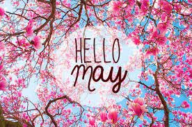 AndrewsBraces's tweet image. Oh hello there...... #AndrewsBraces #May #SpringInFullSwing