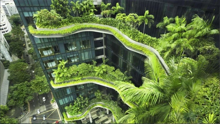 GPGBdotORG's tweet photo. Virginia Researchers say Exposure to Nature Makes Us Healthier - https://t.co/RLSJkQgBW0 #biophilia #biophilicdesign #bringnatureindoors #architecture #nature https://t.co/fJB1LnruSq