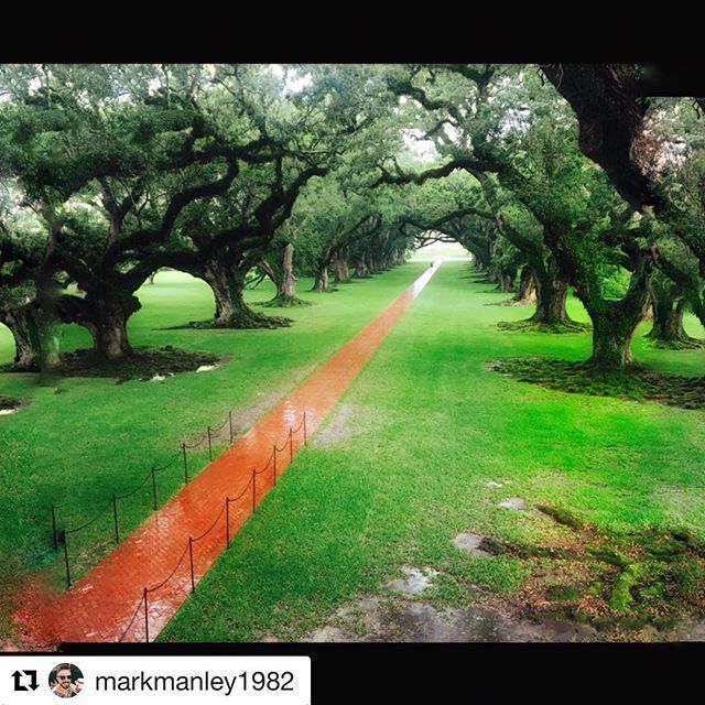 Oak_Alley's tweet photo. #Repost @markmanley1982 with @get_repost
・・・
@oakalleyplantation in New Orleans,amazing experience and history lesson on this place,cracking cocktails after the tour aswell #oakalleyplantation #neworleans #neworleanshistory #louisiana https://t.co/r1JKGbU9lX https://t.co/7BLri5Xt19