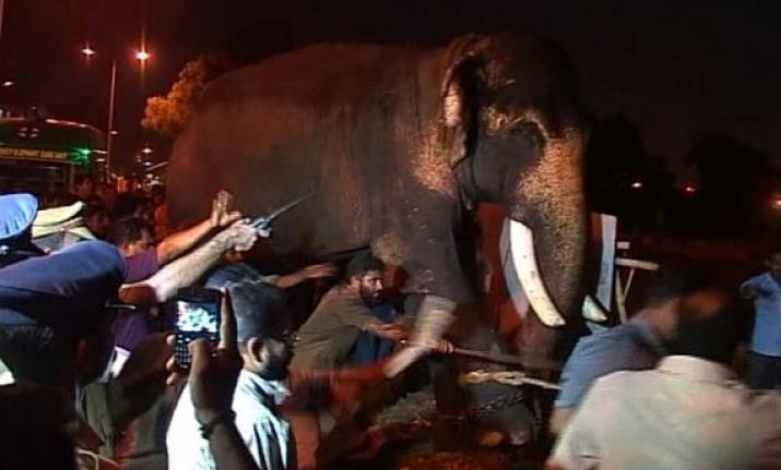 animalwelfareWW's tweet photo. #Elephants runs AMOK &amp; KILLS #Mahouts We can't blame the pour animals 😞#Kerala #TempleElephants https://t.co/OQ4484n9Jy  Stop the Torture ❗️ .@PMOIndia .@CMOKerala https://t.co/uB4lPqO39P