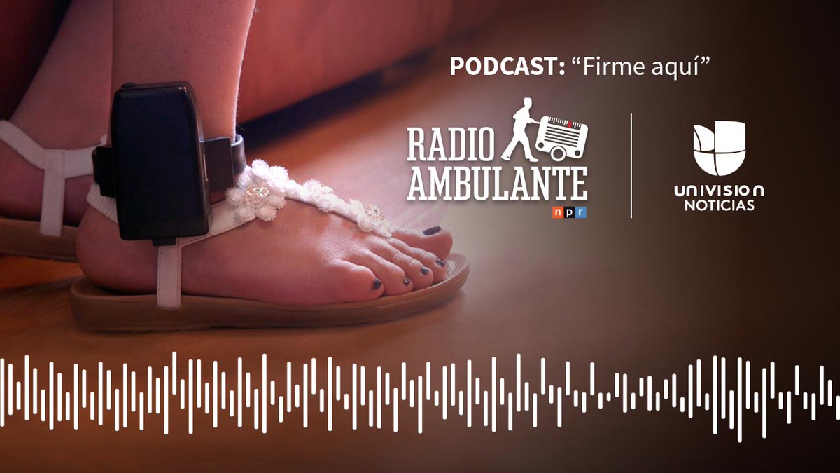 UnivisionData's tweet photo. Una compañía que dice ayudar a inmigrantes indocumentados a pagar sus fianzas, pero está bajo investigación por posible engaño y fraude. Esta es la historia que hicimos con @radioambulante https://t.co/WJOtTTpQmA https://t.co/wjHhebWlrE