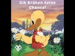 #dortmundistnichtallein
#ChemnitzIstNichtAllein 
#DresdenIstNichtAllein 
#hamburgistnichtallein 
#münchenistnichtallein
#nonazis 
Euch allen einen friedlichen 1.Mai 😘