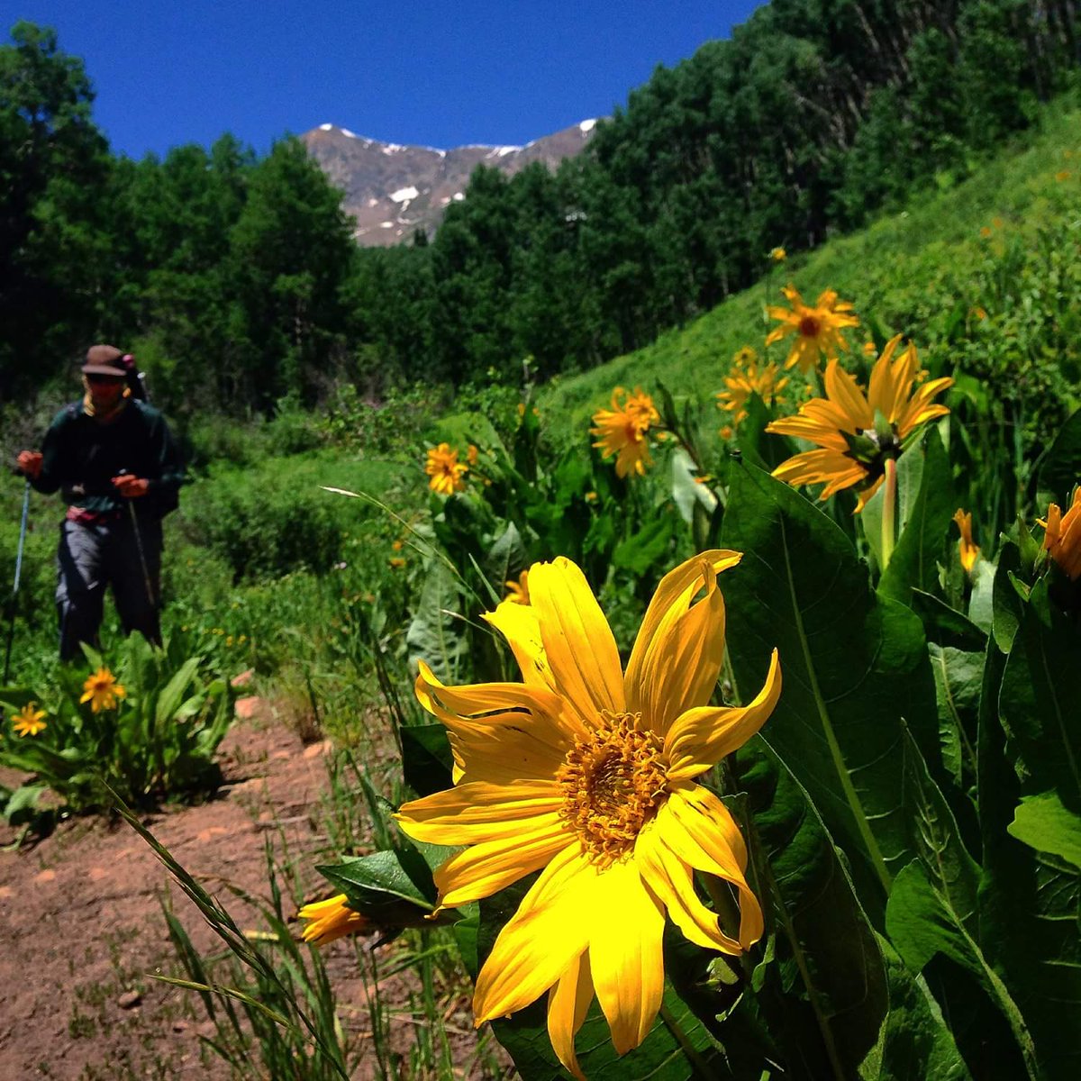 VisitGCB's tweet photo. Colorado Dreaming? #thinksteepthoughts https://t.co/T5Ww4tFJur