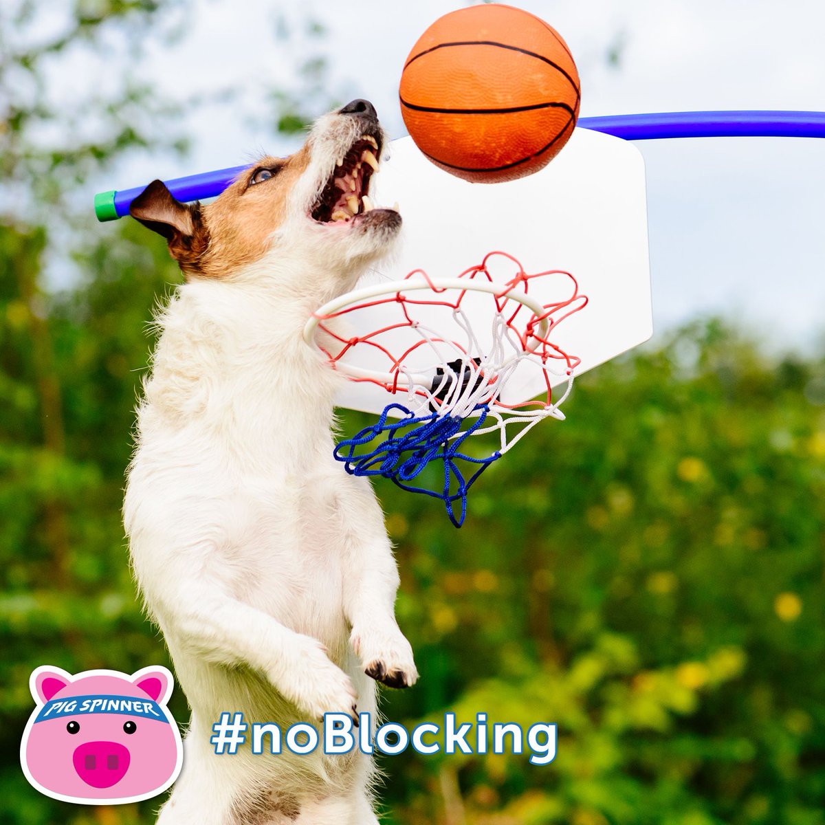 PigSpinner's tweet photo. There's #noblocking in @PigSpinner because it's a great non-contact basketball shooting game for all ages. https://t.co/sLXLnhw8TU #noncontact #basketball #game #challenge https://t.co/qhqoeqQDJX