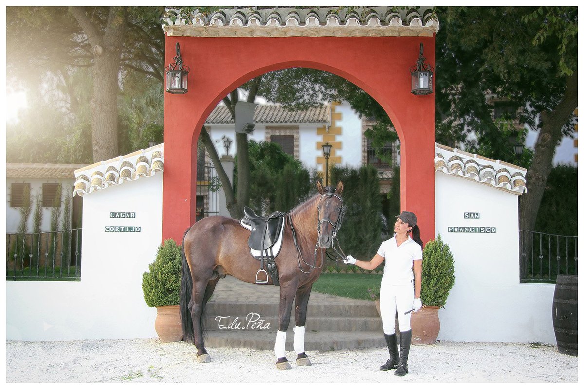 edupenafoto's tweet photo. Anabel Borrego y "Don Generoso IV"
#PuenteGenil #Cordoba #Andalucia #España #Spain @FotosAndalucia @CordobaESP @TurismoAndaluz @spain @horsepho https://t.co/sW9VyR520Z