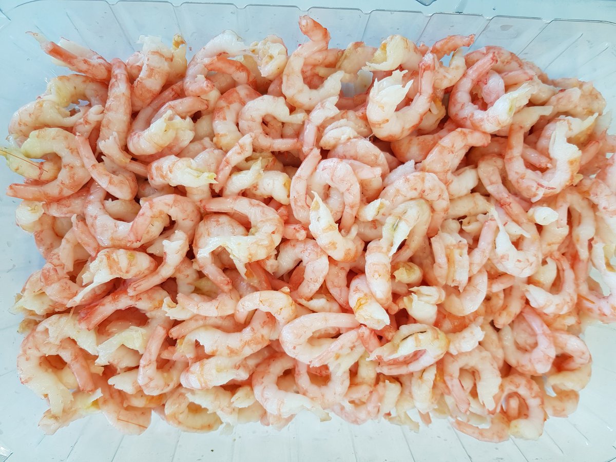 Testen pelmachine 5.0 Pandalus Borealis