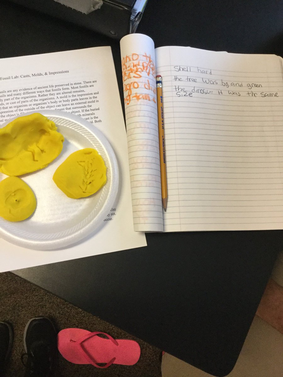 MrsCmoats's tweet photo. We are in the process of creating fossils of ๐ฆ๐ฒ๐ Weโll check in and let you know how they turn out!
@Hoffman_Academy #HApride #fossils #earthscience #middleschool https://t.co/LLSbIMyzT4