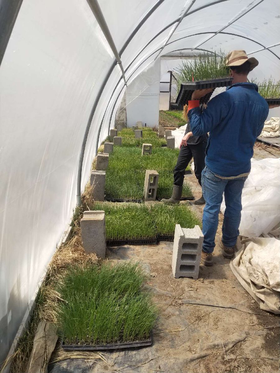 TwoGoodFarms tweet picture