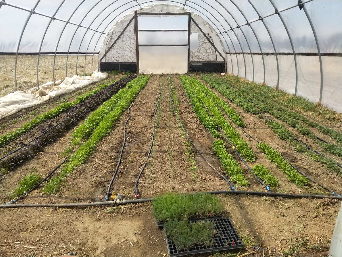 TwoGoodFarms tweet picture