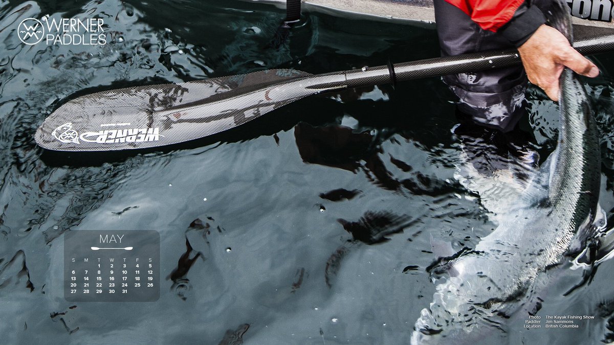 WernerPaddles's tweet photo. MAY CALENDAR: Catch Pro Staff, Jim Sammons with this month's free download. Showcasing a King salmon off the coast of Vancouver Island, BC. #Paddle4Fish
https://t.co/RZZOzI5HRQ https://t.co/RKkGWKs7xb