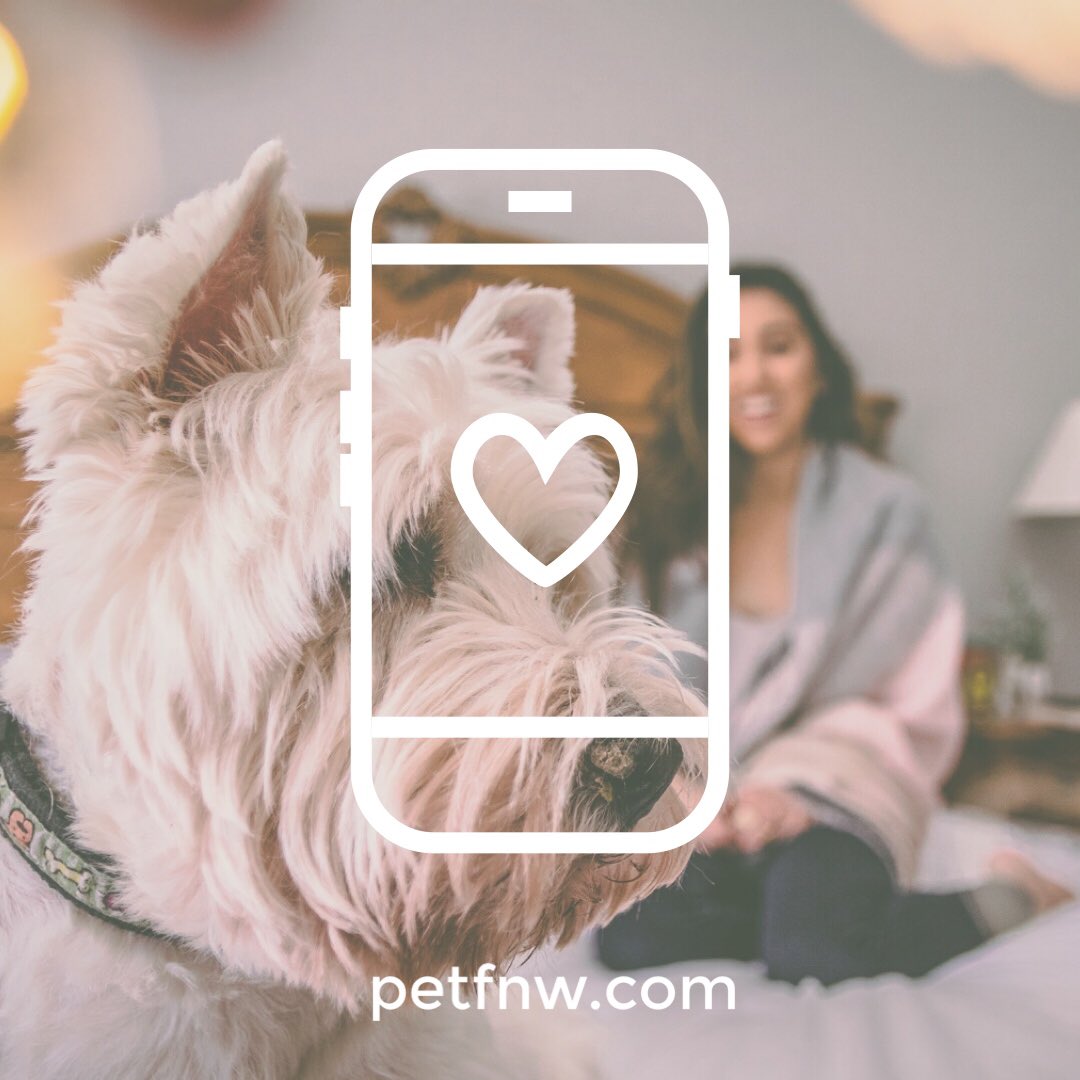 Artık evcil hayvanınız için güvenilir bakıcılar bulabileceğiniz veya bakıcı olarak ek gelir elde edebileceğiniz bir platform var! Yoksa siz hala yepyeni evcil hayvan platformu ❤️petfnw.com’u ziyaret etmediniz mi?