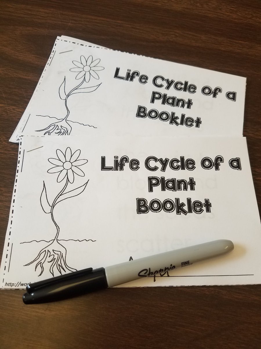LittleSchoolMN's tweet photo. Learning  about plants today! #preschoollife  #smartkids https://t.co/LIDFZPUyQF