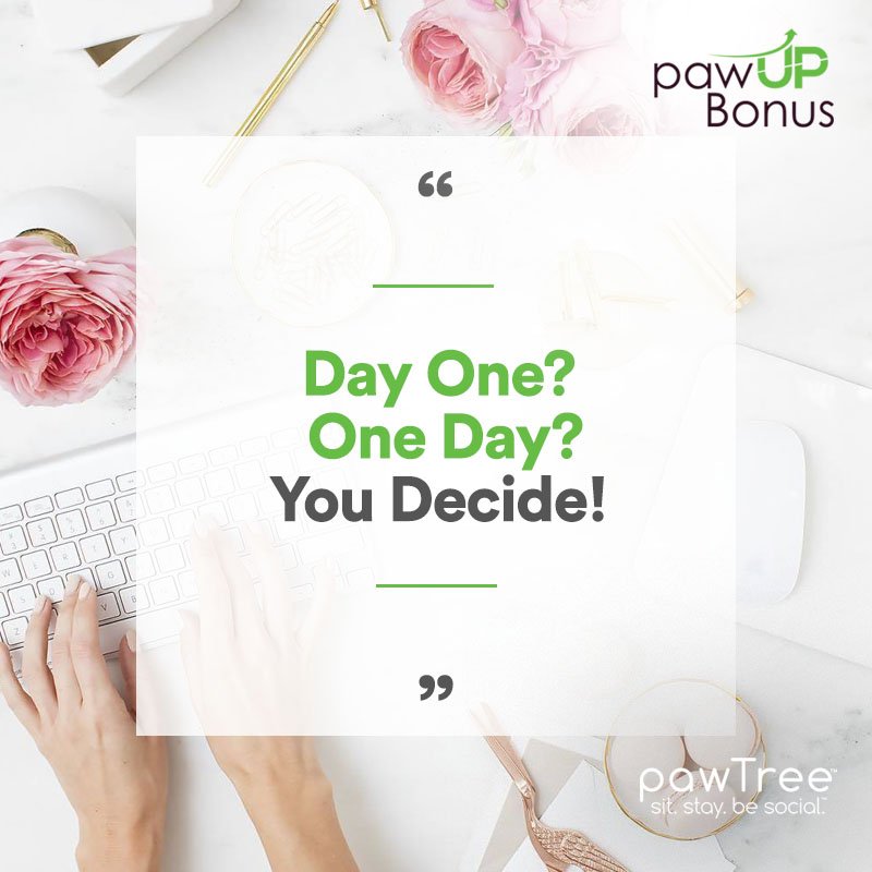 pawTree's tweet image. DAY ONE of our BIGGEST BONUS campaign yet... pawUP! Tired of the status quo and working for others? Be your own boss. Decide your future. Change your life. Join pawTree for the opportunity to earn up to $25,000 in special bonuses!
Learn more here: bit.ly/2Fujcid