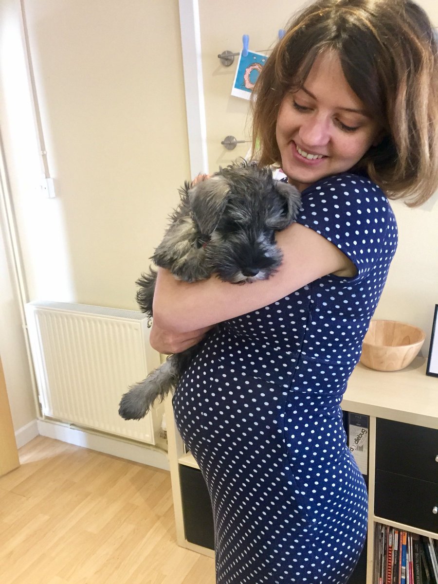 Harry Hook tweet media