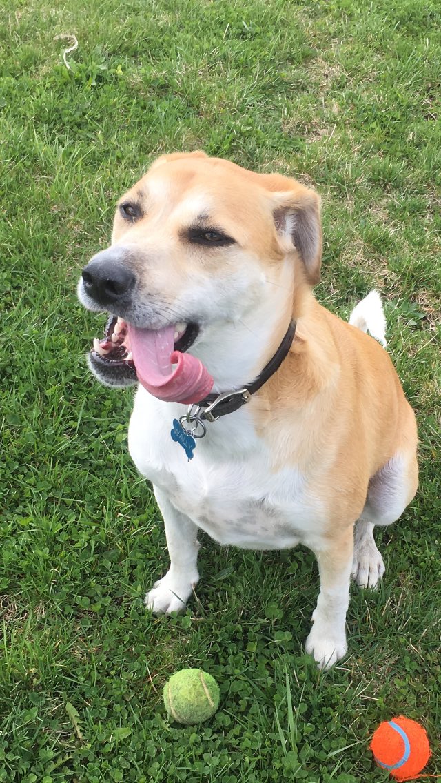 a_quesadilla's tweet image. 🐉🐉🐉  #unexplainable