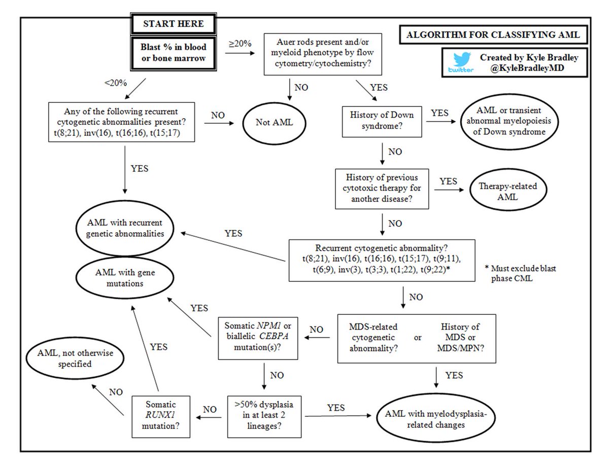 I created an algorithm for classifying AML according to the new 2017 WHO Classification. Useful for determining which categories take precedence. #hemepath