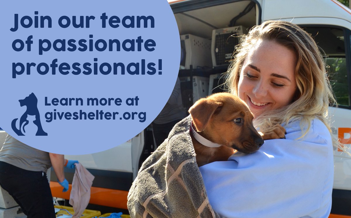 Seeking a full-time Certified Veterinary Technician to join our Animal Medical Services team. No weekends or on call. Must love puppy snuggles! ow.ly/1xq430jM99D 

#humanesociety #cvt #puppysnuggles #adoptdontshop