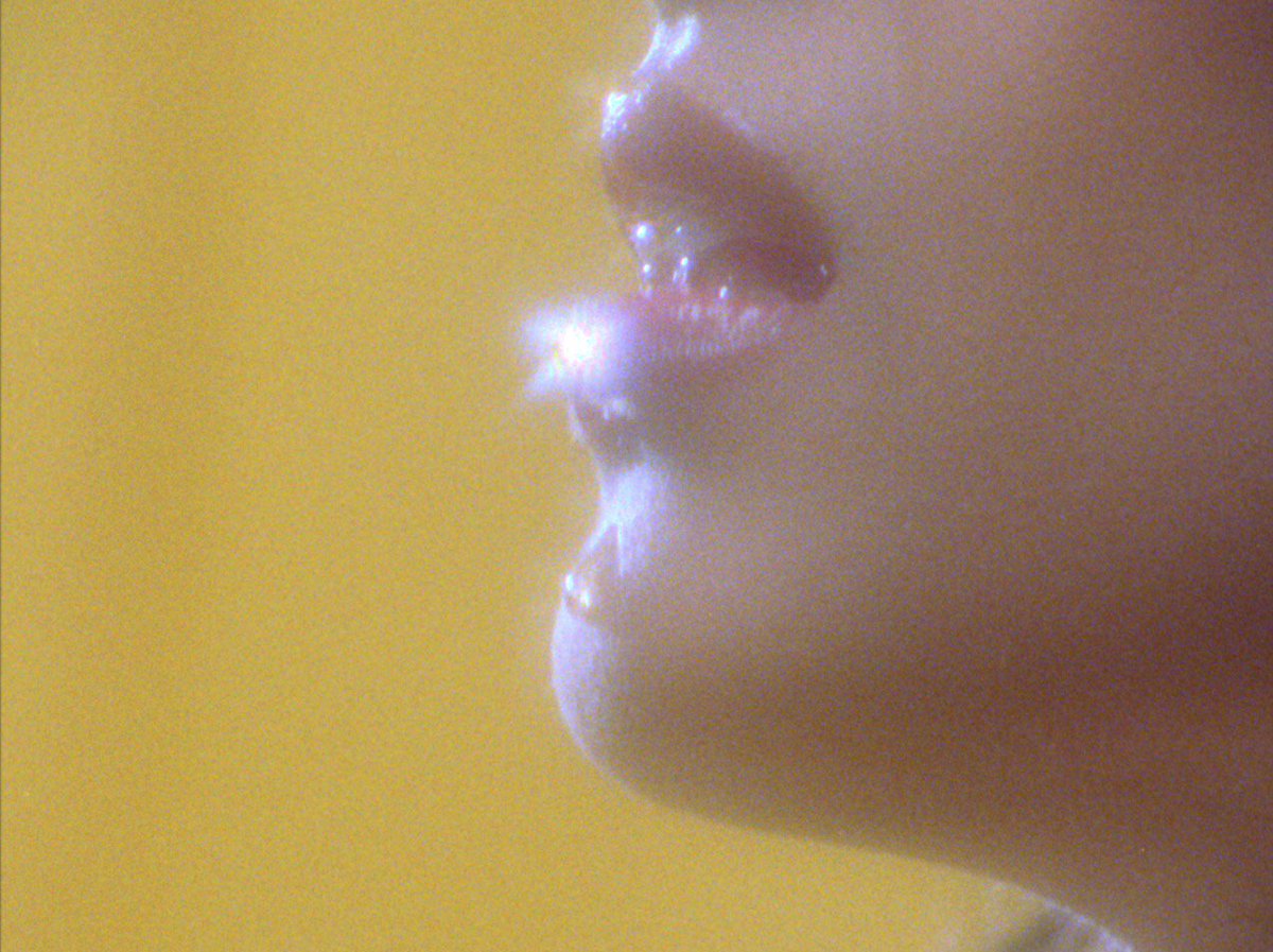 Raveena On Twitter Honey 5 2 18 Raveena & weird life films director of photography: raveena on twitter honey 5 2 18