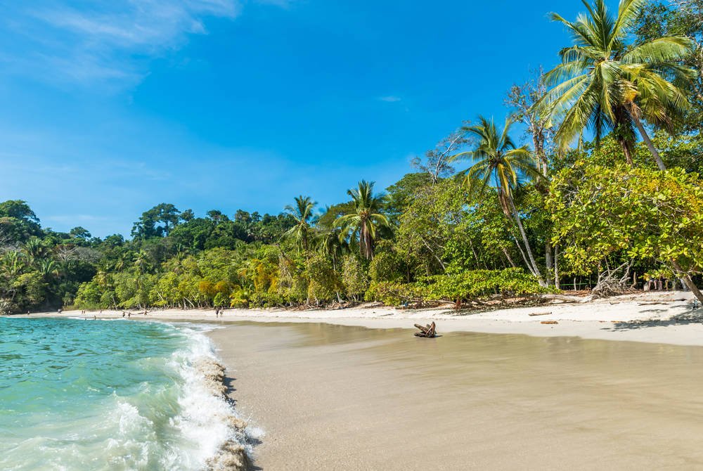 From sipping freshly brewed coffee on the slopes of a still-active volcano, to rare jaguar spotting under thick forest canopies – in Costa Rica, adventure is in the air: ow.ly/OKyc30jM9sc #CostaRica #WexasTravel