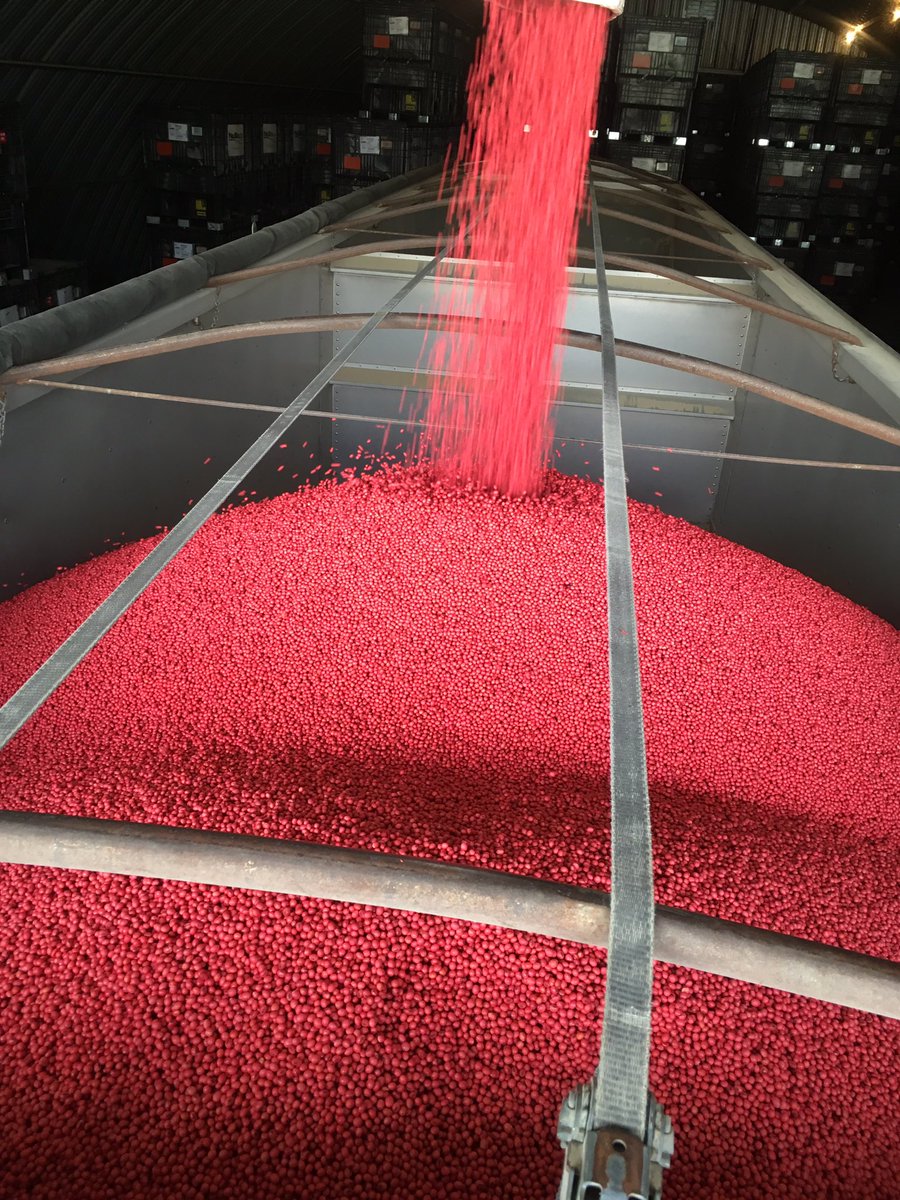 Drew_Hoffman35's tweet image. Out here makin' them red skittles #CoverageIsKey