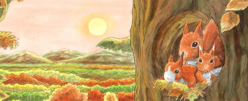 DiscoverKelpies's tweet photo. The latest Issue from @scottishbooks is live and features @LynneRickards talking about #RowantheRedSquirrel and where she finds inspiration for her nature writing for young children #childrensbooks #kidlit #picturebooks https://t.co/zVC9xo5w5R https://t.co/L5qUUFZcwF