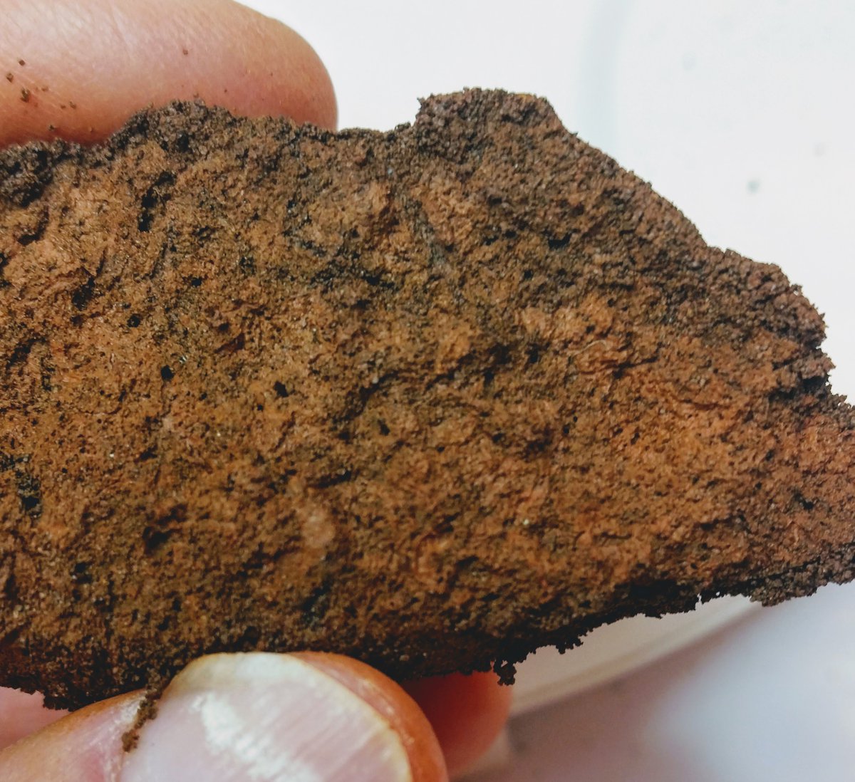 Subsolum's tweet photo. Clay coatings lining ≥ 5% of the surfaces in pores are the main diagnostic feature of #argic horizon in #WRB and #argillic in #SoilTaxonomy

Nice ped full of  #clayskin #claycoating #clayfilm in Bt horizon https://t.co/ya8gYMN2KA