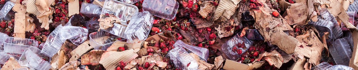 EdenOne's tweet photo. Every year, a staggering 88 million tons of #food is discarded between farm and fork across Europe, at an estimated cost of €143 billion. Reduce food waste with a #FEFO enabled picking strategy. #foodanddrink https://t.co/c6w1MJ3x8S https://t.co/0gLGvE4T91