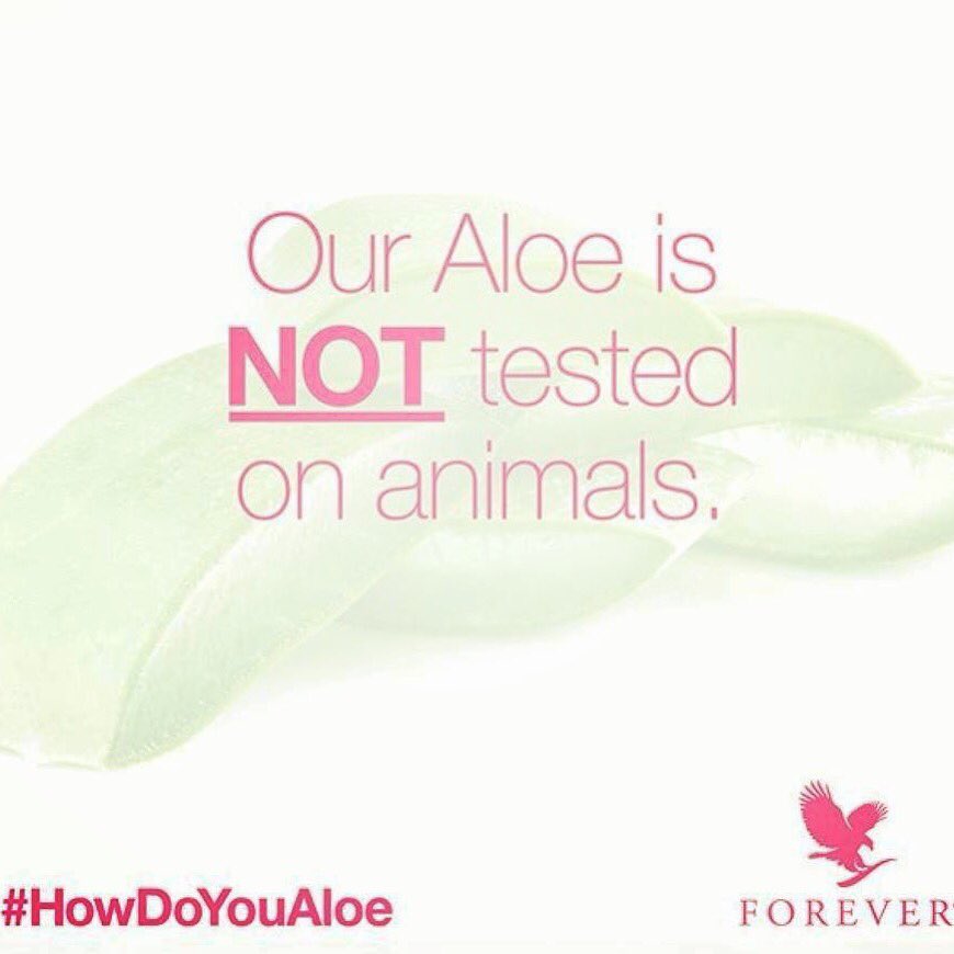 forevergitte's tweet photo. #ikketestetpådyr 🐶🐸🐒🦉🐺🐥🐙 #aloevera #sundhed #følgmed #følgmig #følgmigpåfacebook #følgmedforinspiration #certificeret #patentpåkvalitet😃#foreverlivinggjessø #foreverlivingscandinavia https://t.co/q2btBBBkMo