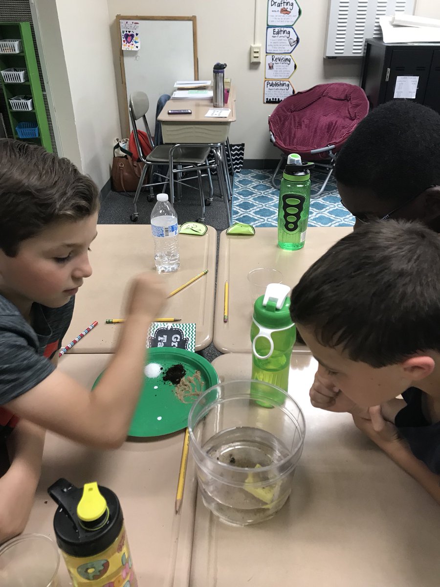 MrsMcCown2nd's tweet photo. Understanding the effects of water pollution with #freddiethefish. Now we understand why we need to prevent pollution! 🌎 https://t.co/HoWpFvuTAF