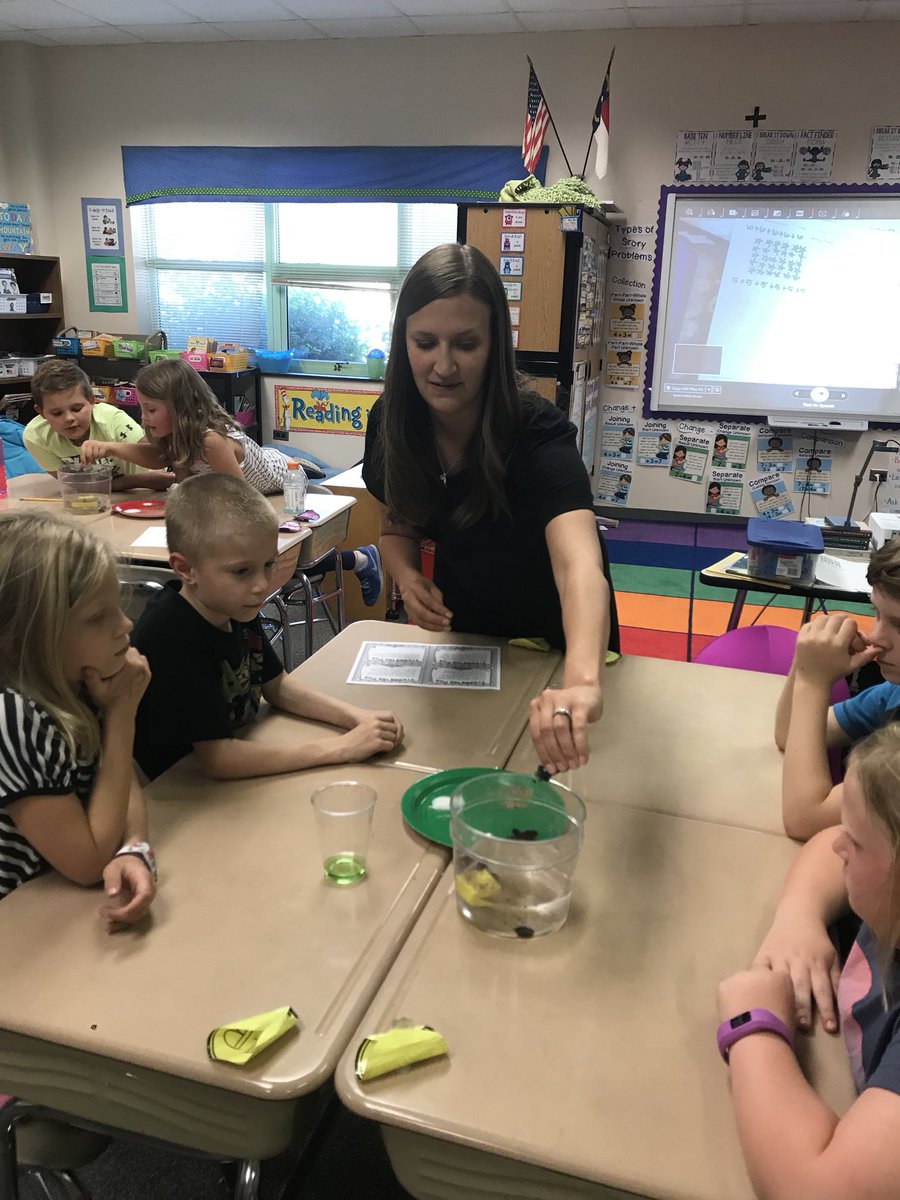 MrsMcCown2nd's tweet photo. Understanding the effects of water pollution with #freddiethefish. Now we understand why we need to prevent pollution! 🌎 https://t.co/HoWpFvuTAF